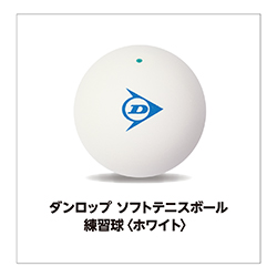 ダンロップ ソフトテニスボール 練習球